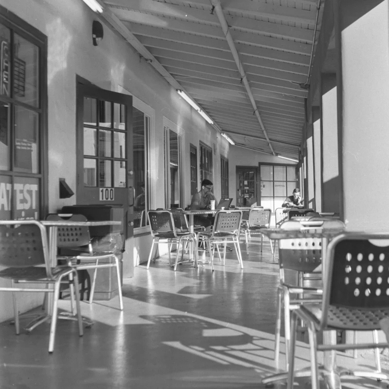 Untitled photograph