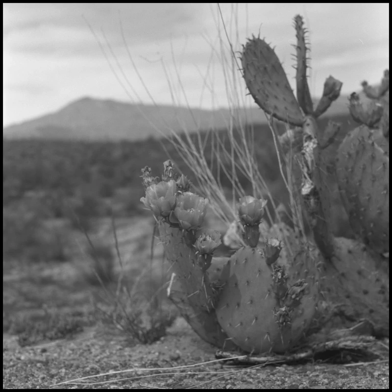 Untitled photograph