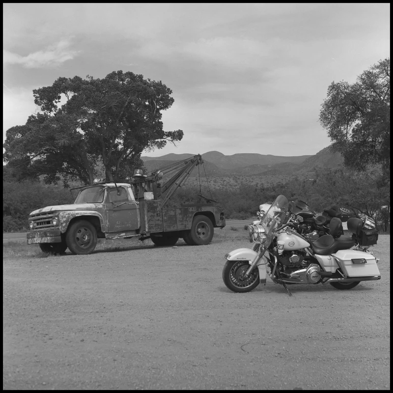 Untitled photograph