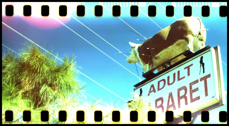 Adult Cab