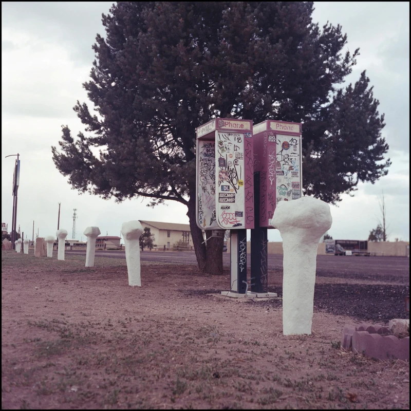 Untitled photograph