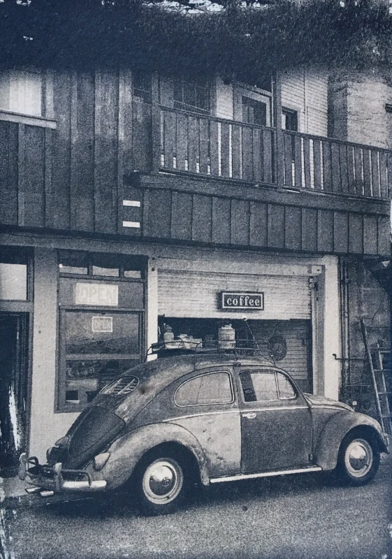 Coffee Beatle, cyanotype print