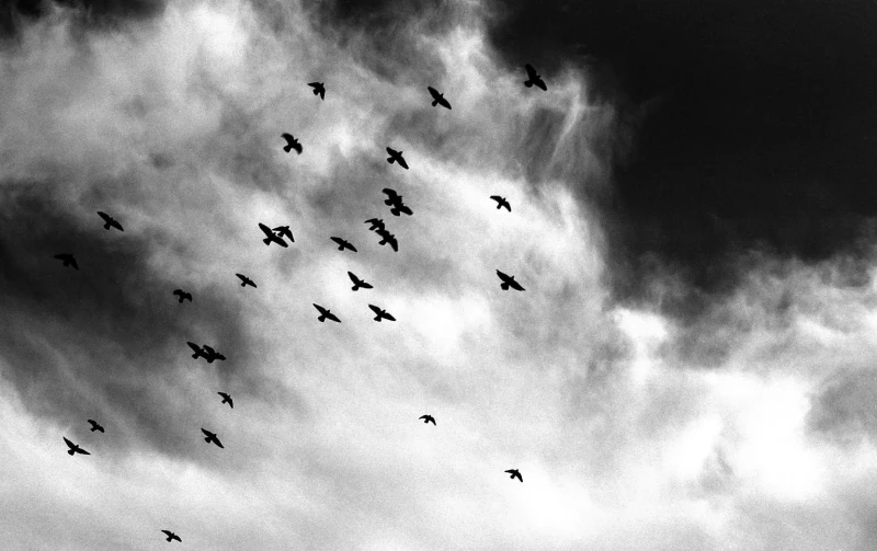 Untitled photograph