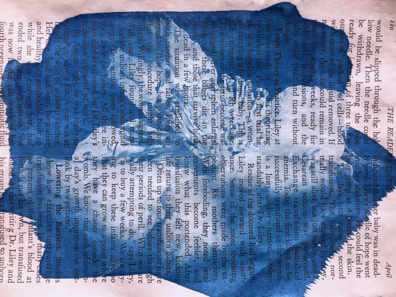 Flower Page, cyanotype print