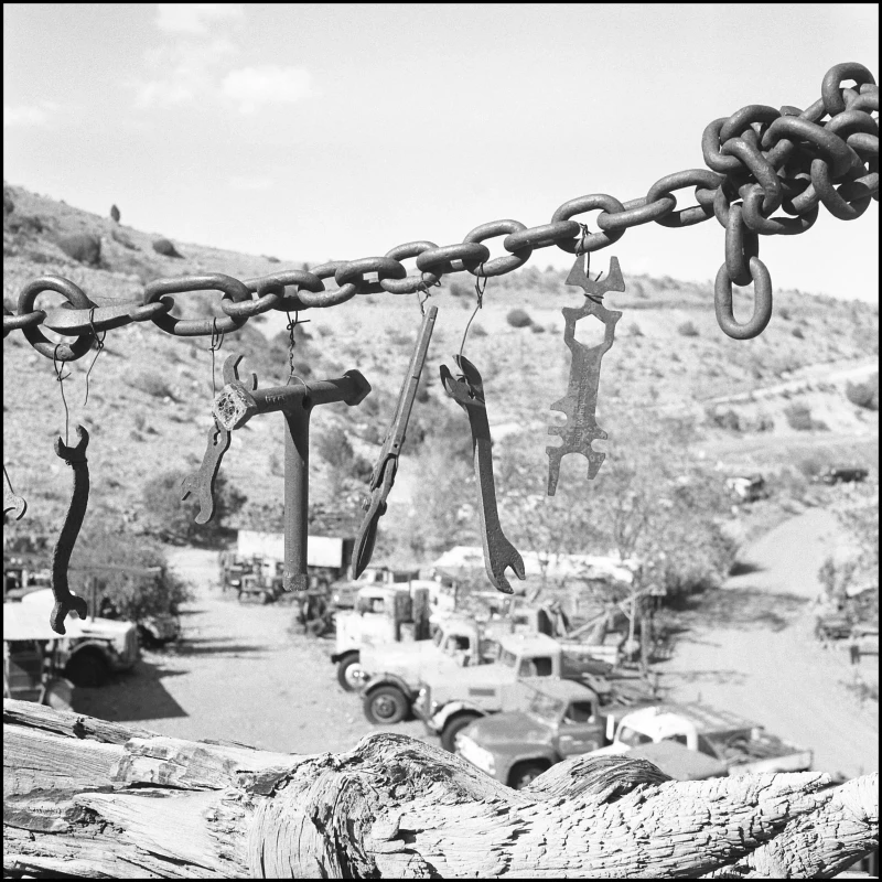 Untitled photograph