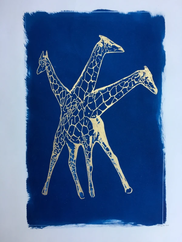 Gir, cyanotype print