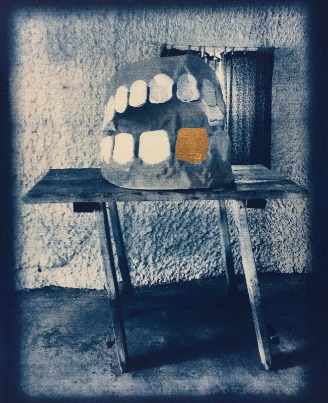 Untitled, cyanotype print