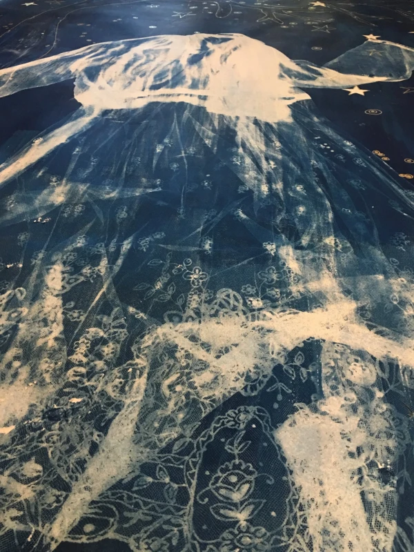Untitled, cyanotype print