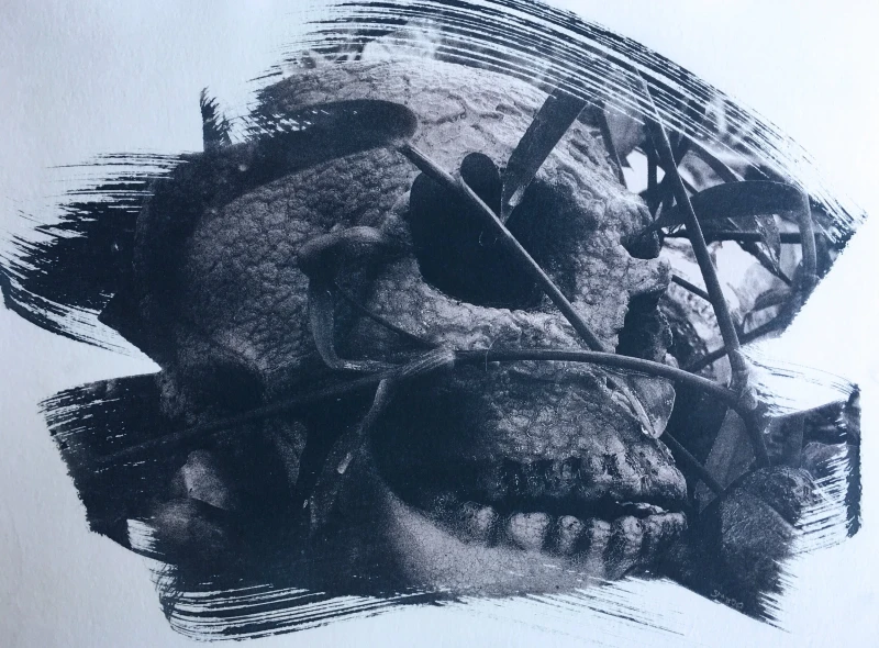 Untitled, cyanotype print