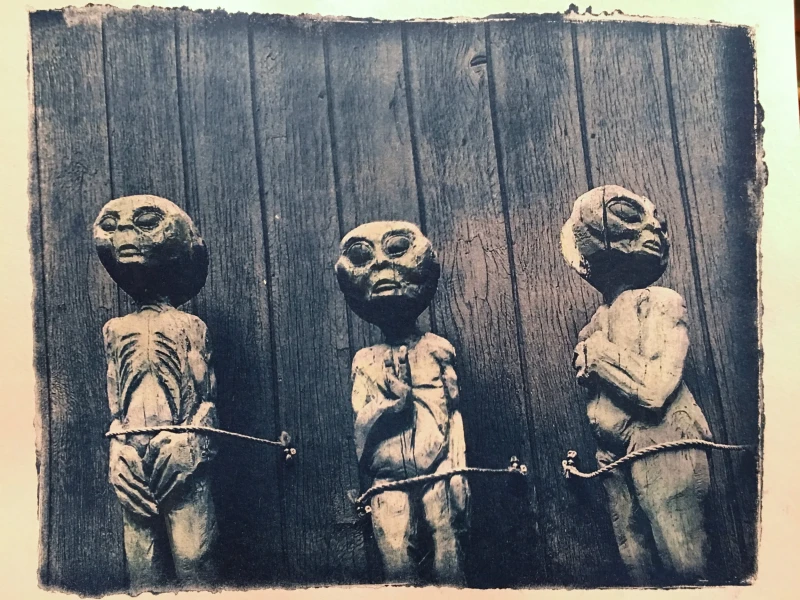 Untitled, cyanotype print