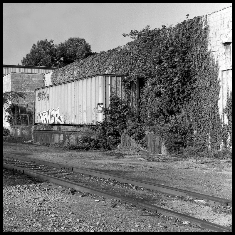 Untitled photograph
