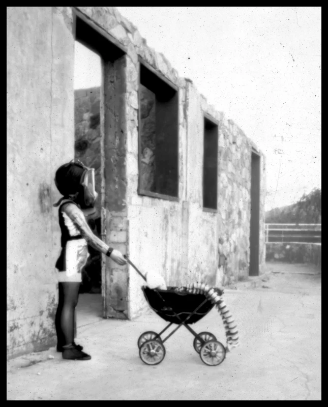 The Stroll, pinhole print